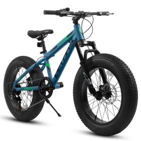 V20235 20 Inch Fat Tire Bike 7 Speed Mountain Bike, Dual Disc Brakes, High Carbon Steel Frame, Front Suspension, Mountain Buggy, City Commuter Ci (Option: Blue)